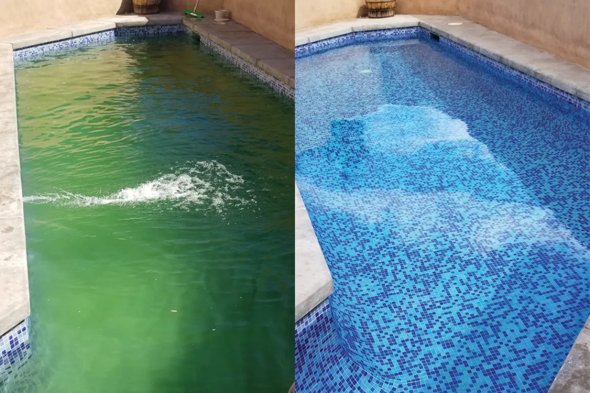 Green Pool Clean-ups | Pool Cleaner in Lafayette